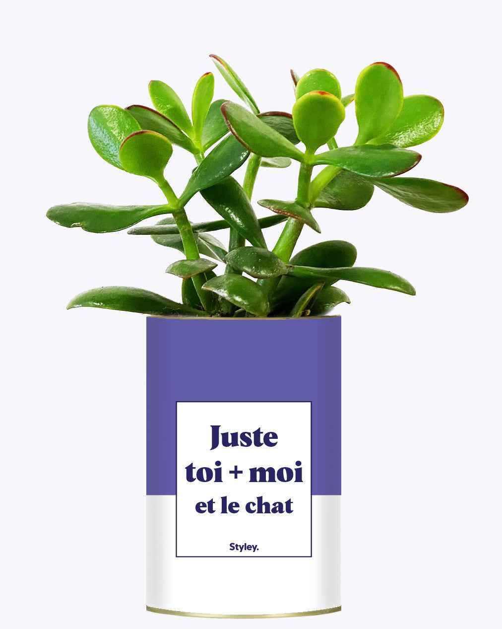 Toi + moi et le chat - Cactus