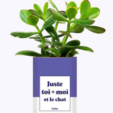 Toi + moi et le chat - Cactus