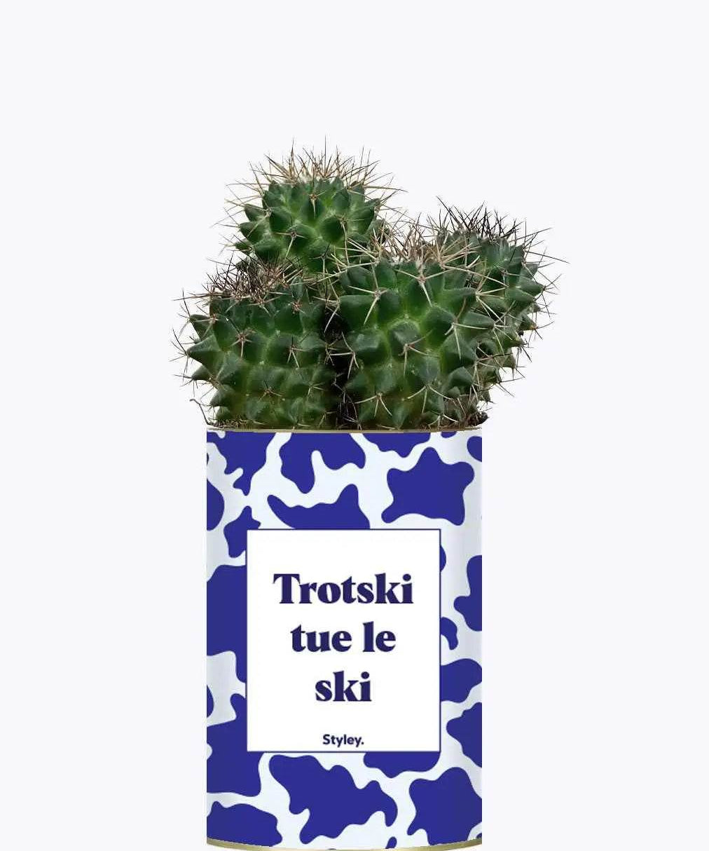Trotski tue le ski - Plante Cactus varié