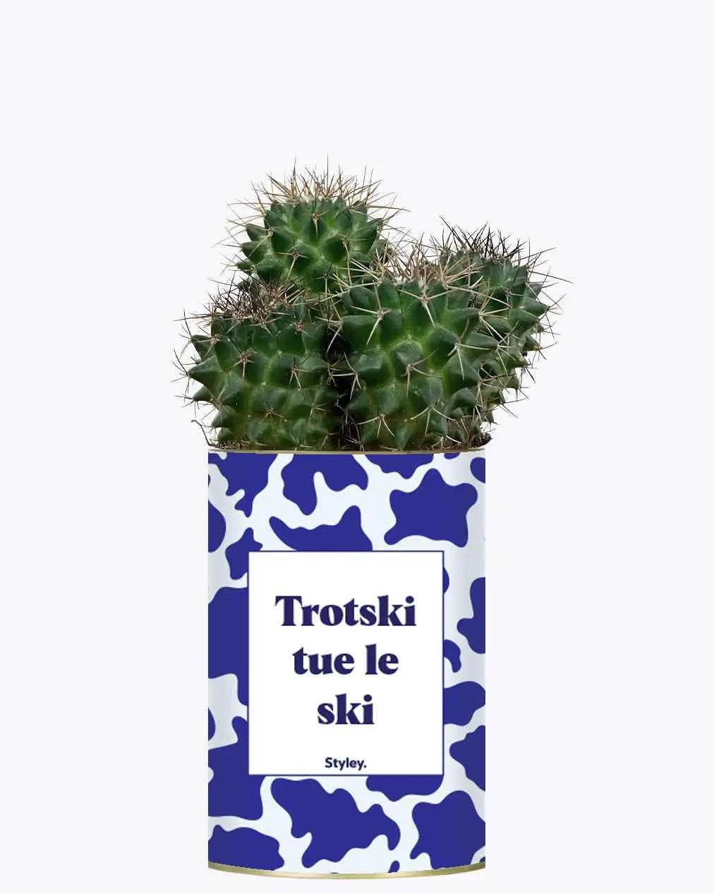 Trotski tue le ski - Plante Cactus varié