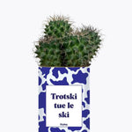 Trotski tue le ski - Plante Cactus varié
