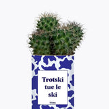Trotski tue le ski - Plante Cactus varié