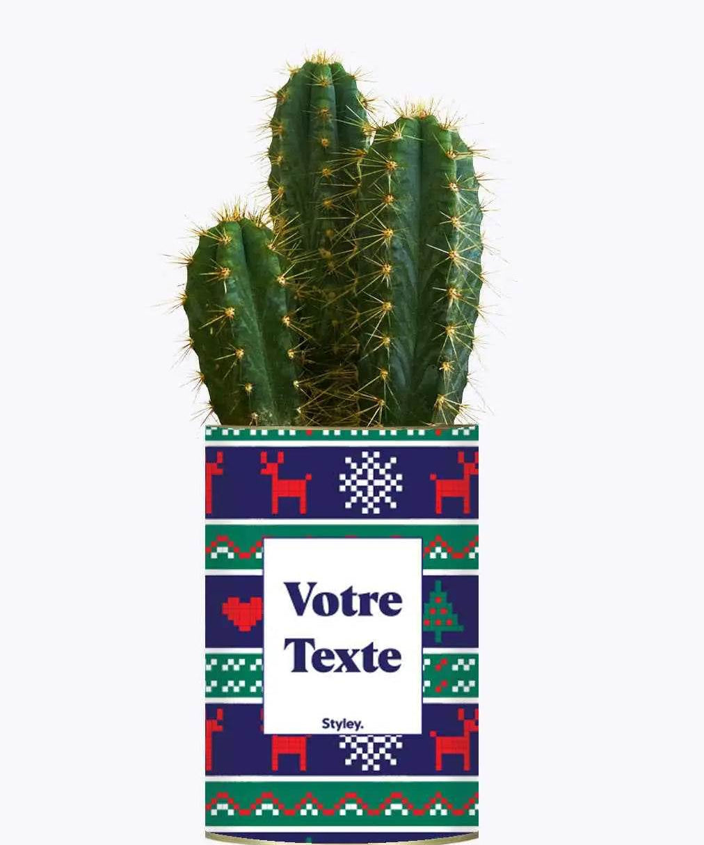 Plante de Noël Personnalisable - Plante Cactus varié