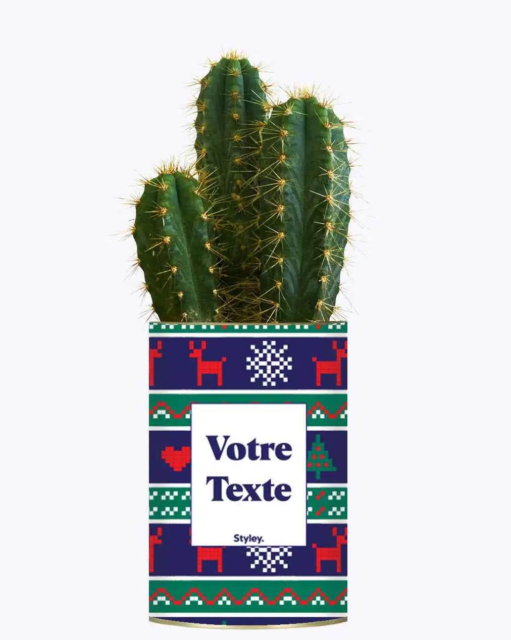 Plante de Noël Personnalisable - Plante Cactus varié