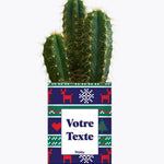 Plante de Noël Personnalisable - Plante Cactus varié