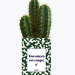 Ton micro est coupé - Plante Cactus varié