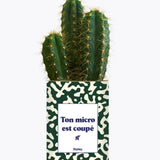 Ton micro est coupé - Plante Cactus varié
