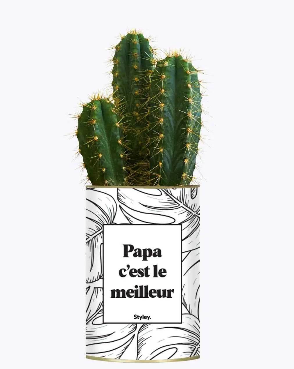 Papa c'est le meilleur - Plante Cactus varié