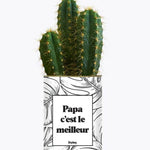 Papa c'est le meilleur - Plante Cactus varié