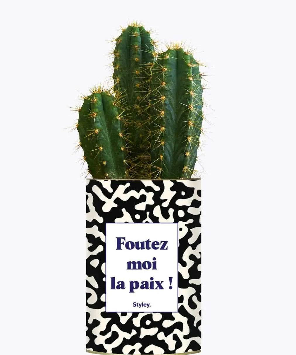 Foutez moi la paix - Plante Cactus varié