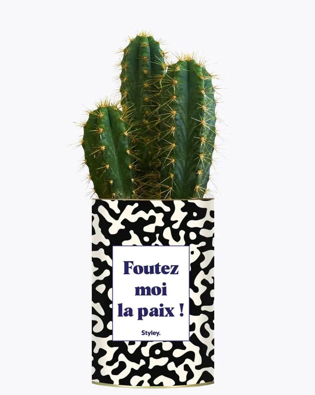 Foutez moi la paix - Plante Cactus varié