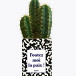 Foutez moi la paix - Plante Cactus varié