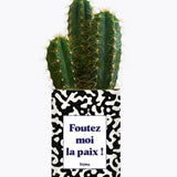 Foutez moi la paix - Plante Cactus varié