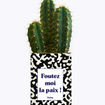 Foutez moi la paix  - Cactus