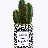 Foutez moi la paix  - Cactus