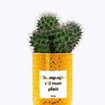 Champagne s'il vous plaît - Cactus - Finitions gold