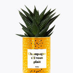 Champagne s'il vous plaît - Plante - Finitions gold