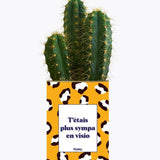 T'étais plus sympa en visio - Plante Cactus varié