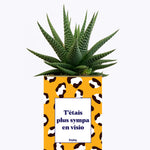 T'étais plus sympa en visio - Cactus