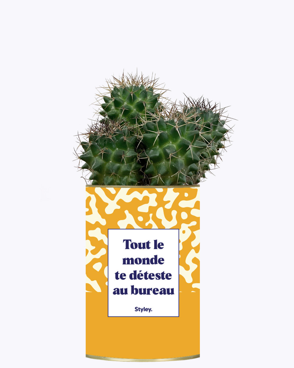 Tout le monde te déteste au bureau - Cactus