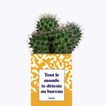 Tout le monde te déteste au bureau - Cactus
