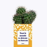 Tout le monde te déteste au bureau - Cactus