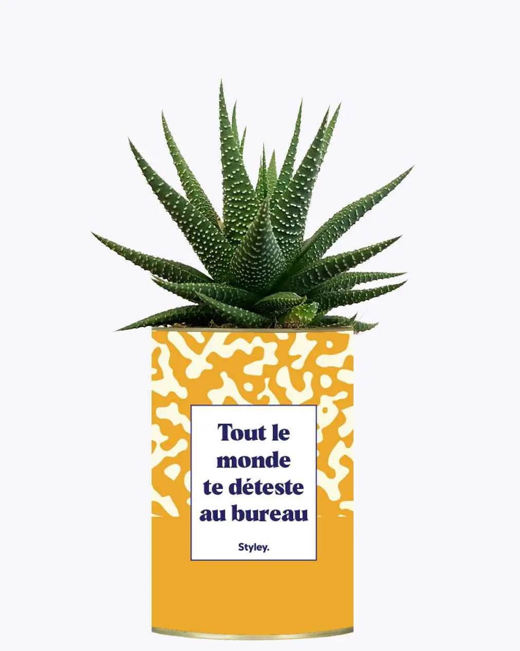 Tout le monde te déteste au bureau - Plante