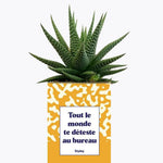 Tout le monde te déteste au bureau - Plante