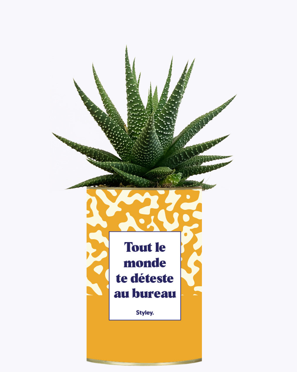 Tout le monde te déteste au bureau - Cactus