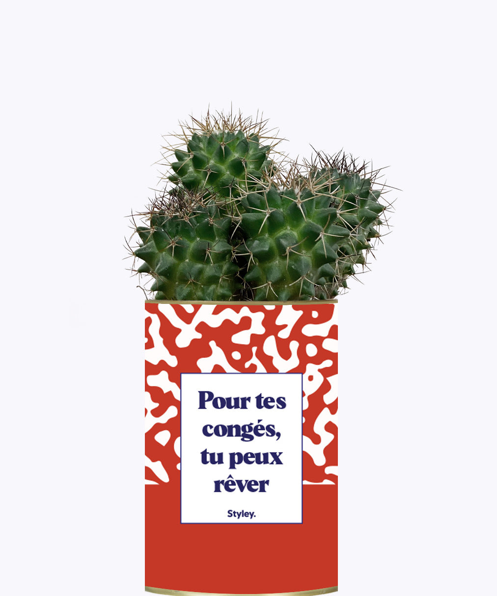 Pour tes congés, tu peux rêver - Cactus