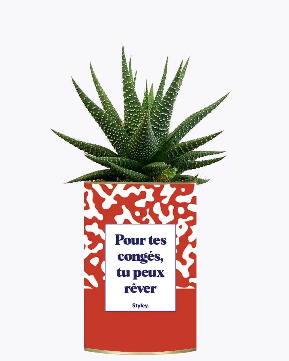 Pour tes congés, tu peux rêver - Plante