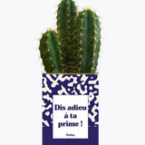 Dis adieu à ta prime ! - Plante Cactus varié