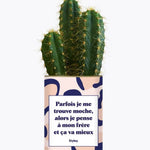 Frère moche - Plante Cactus varié