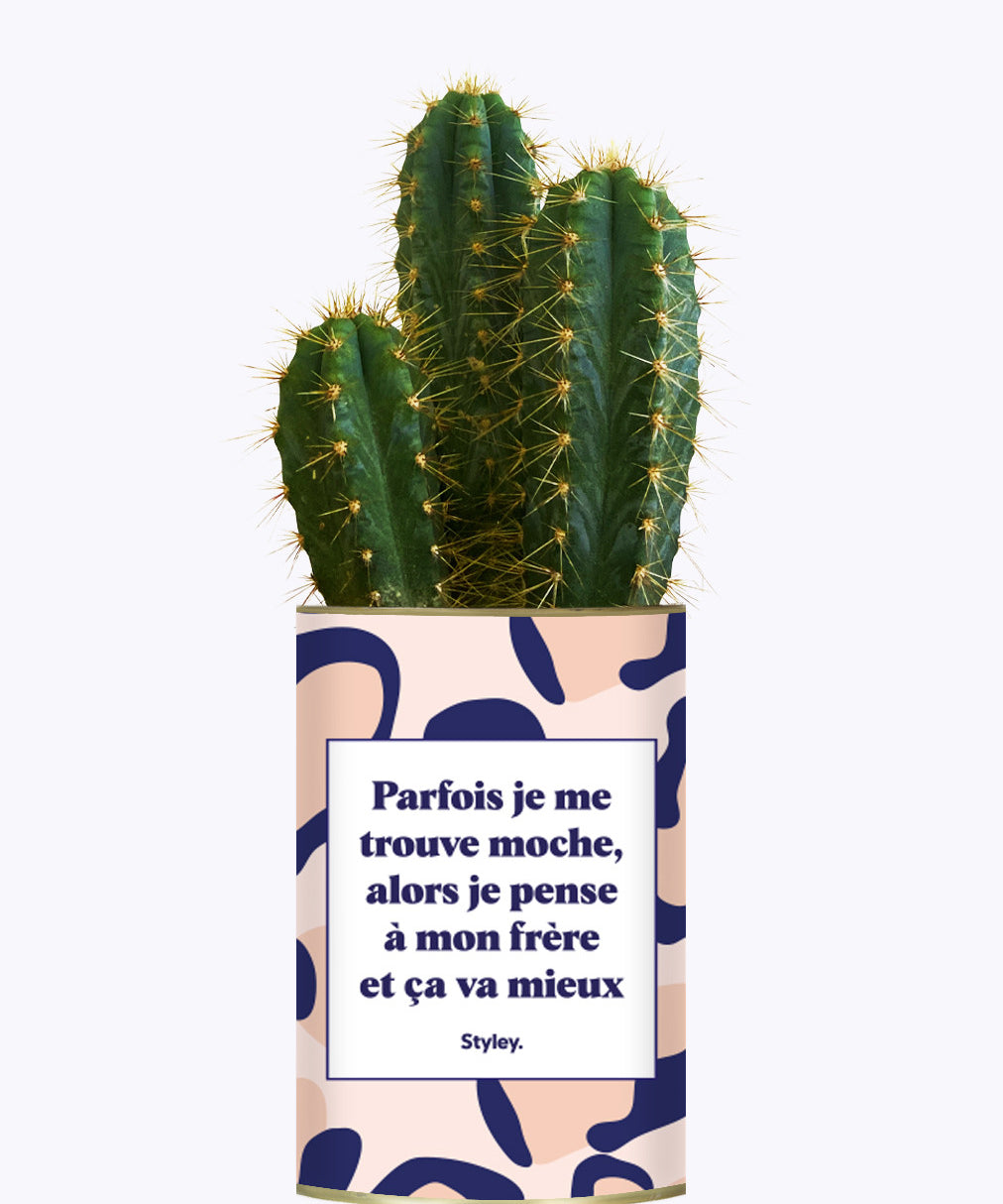 Frère moche - Cactus
