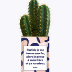 Frère moche - Cactus