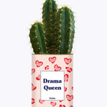 Drama Queen - Cactus