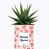 Drama Queen - Cactus