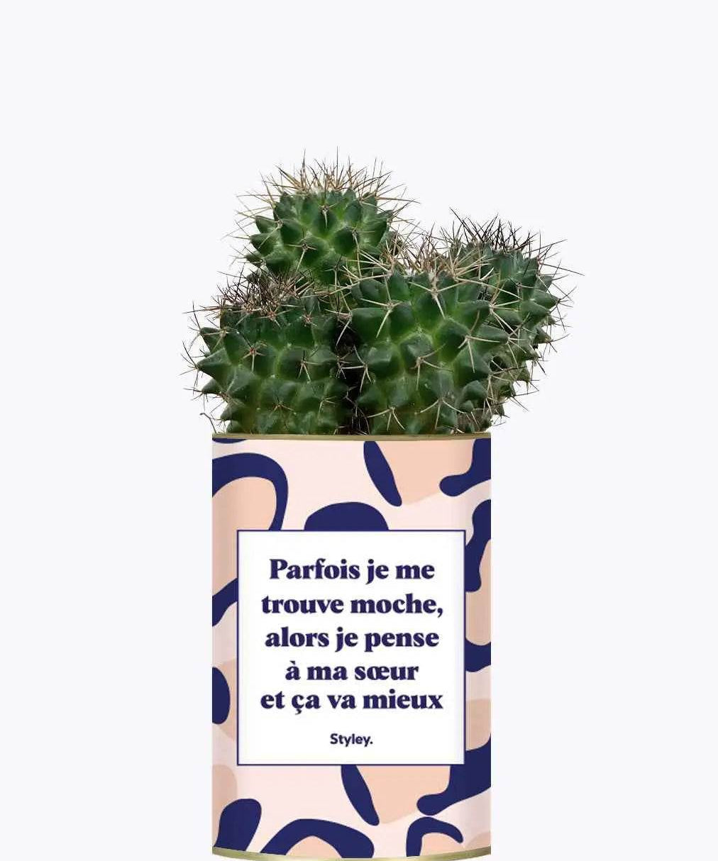 Soeur Moche - Plante Cactus varié