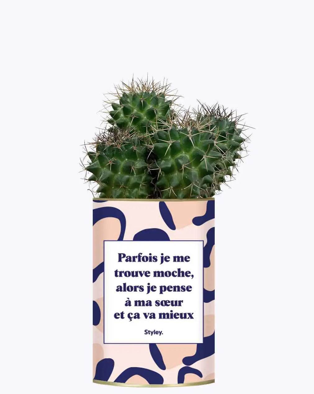 Soeur Moche - Plante Cactus varié