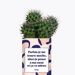 Soeur Moche - Plante Cactus varié