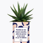 Soeur Moche - Plante