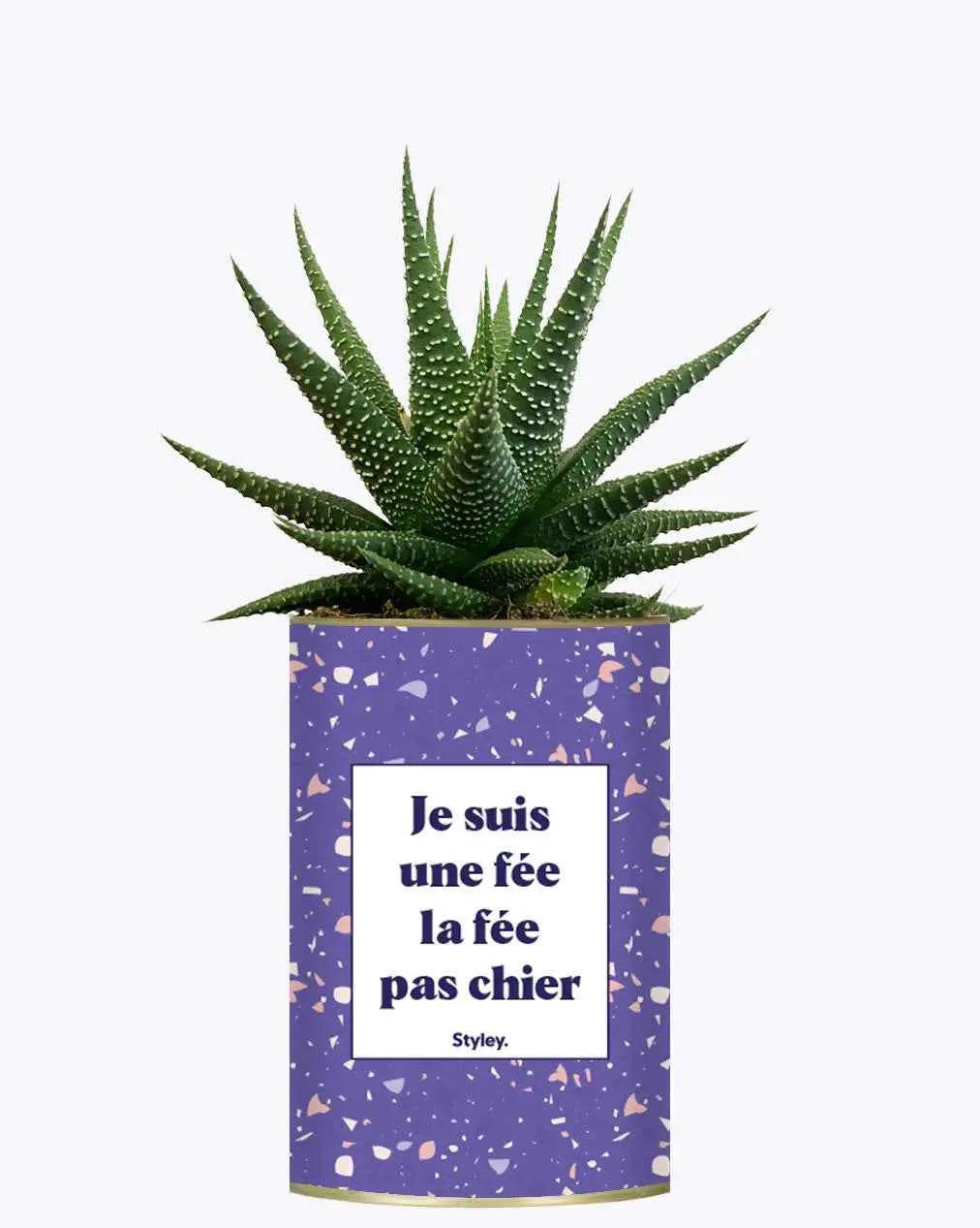 Je suis une fée la fée pas chier - Plante
