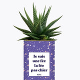 Je suis une fée la fée pas chier - Plante