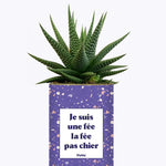 Je suis une fée la fée pas chier - Cactus