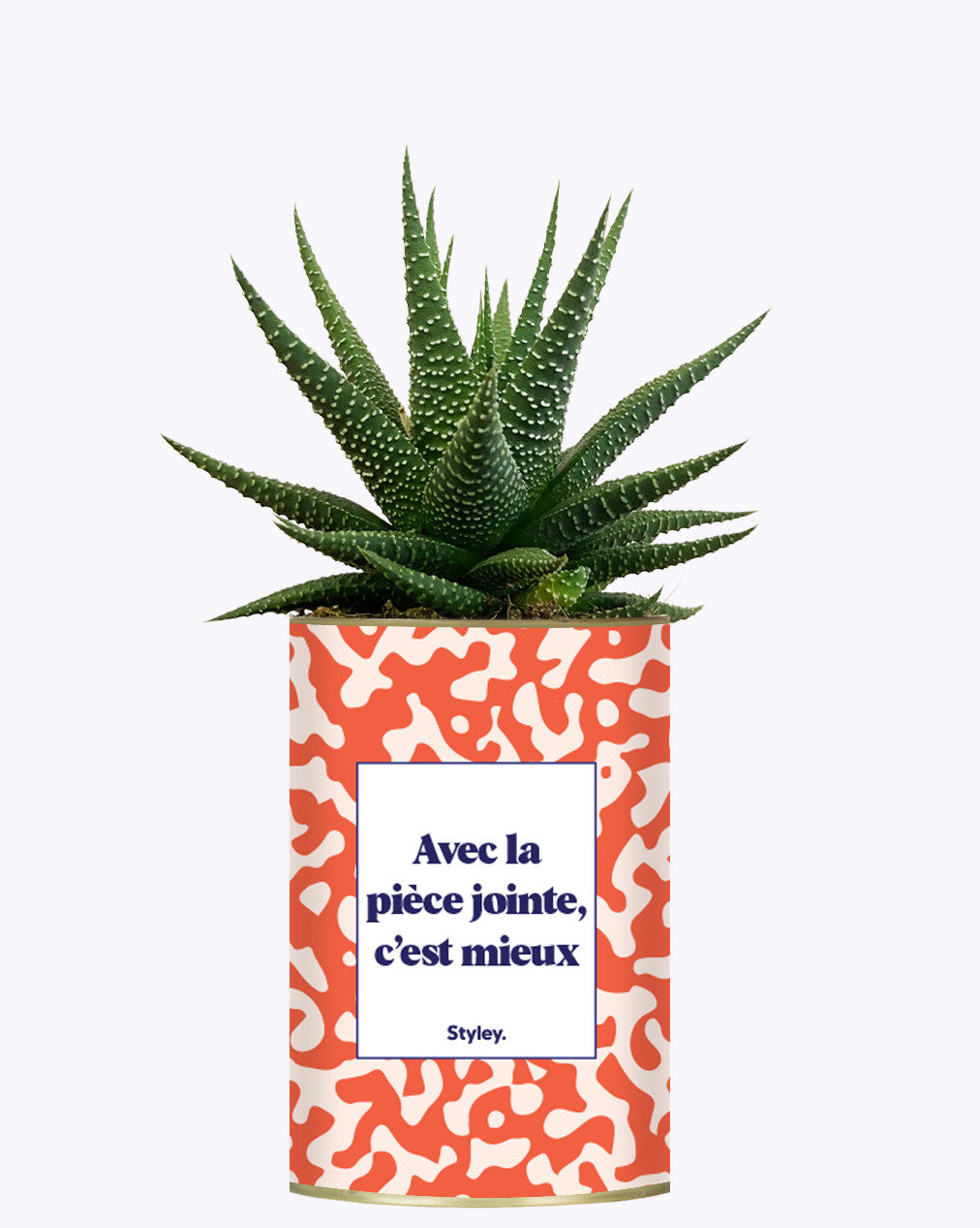 Avec la pièce jointe  - Cactus