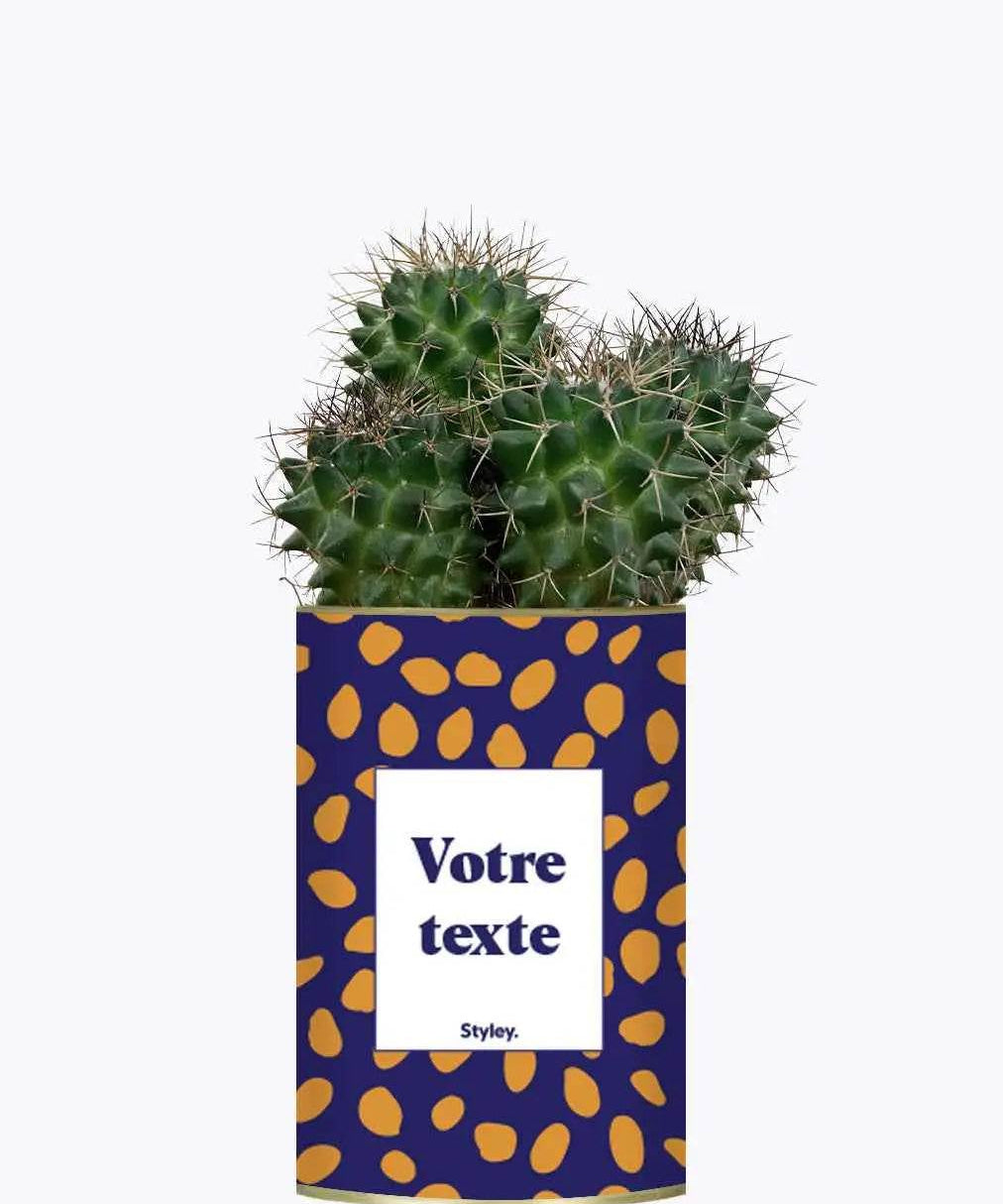 Cactus GANG - Plante Personnalisable Cactus varié