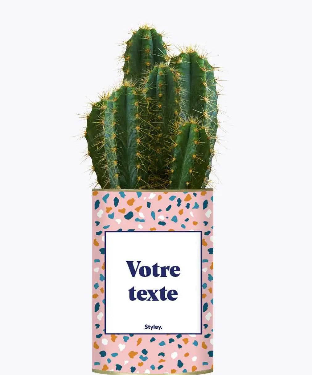 Cactus Bichette - Plante Personnalisable