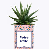 Cactus Bichette - Personnalisable