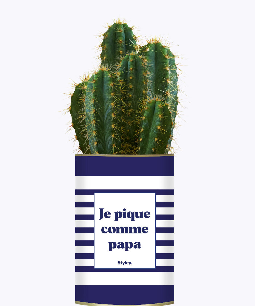 Je pique comme papa - Cactus