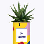 Je t'aime - Cactus